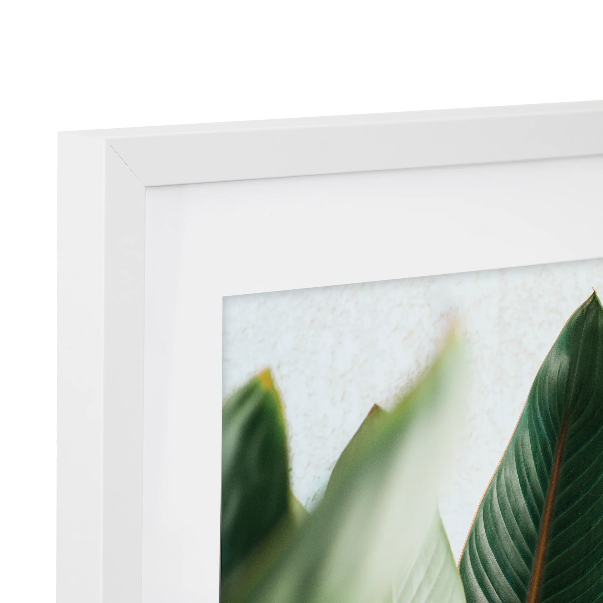 50x50cm Mat to 40x40cm Premium Paradise Wooden Photo Frame - Image 18