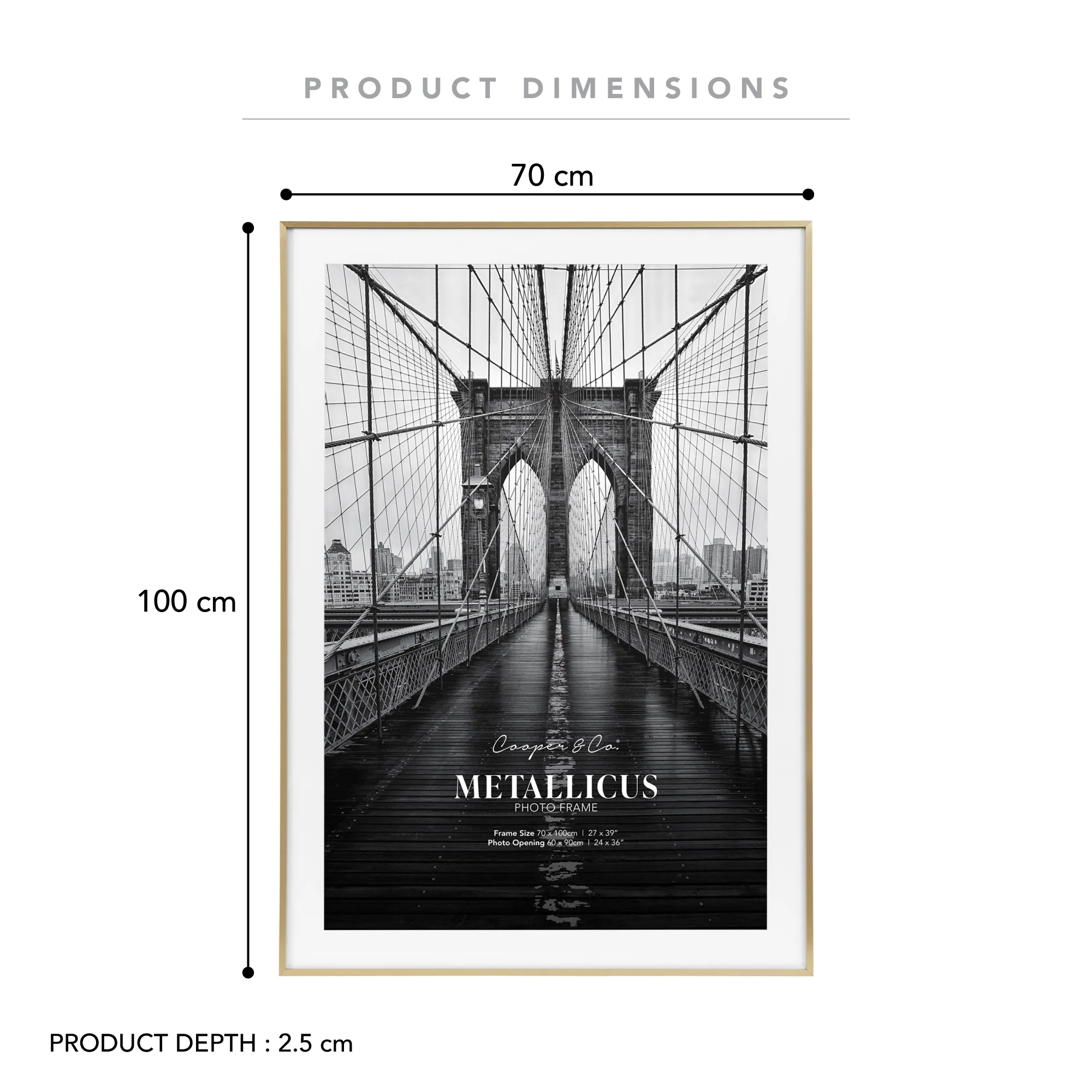 70x100cm Mat to 60x90cm Premium Metal Photo Frame - Image 13