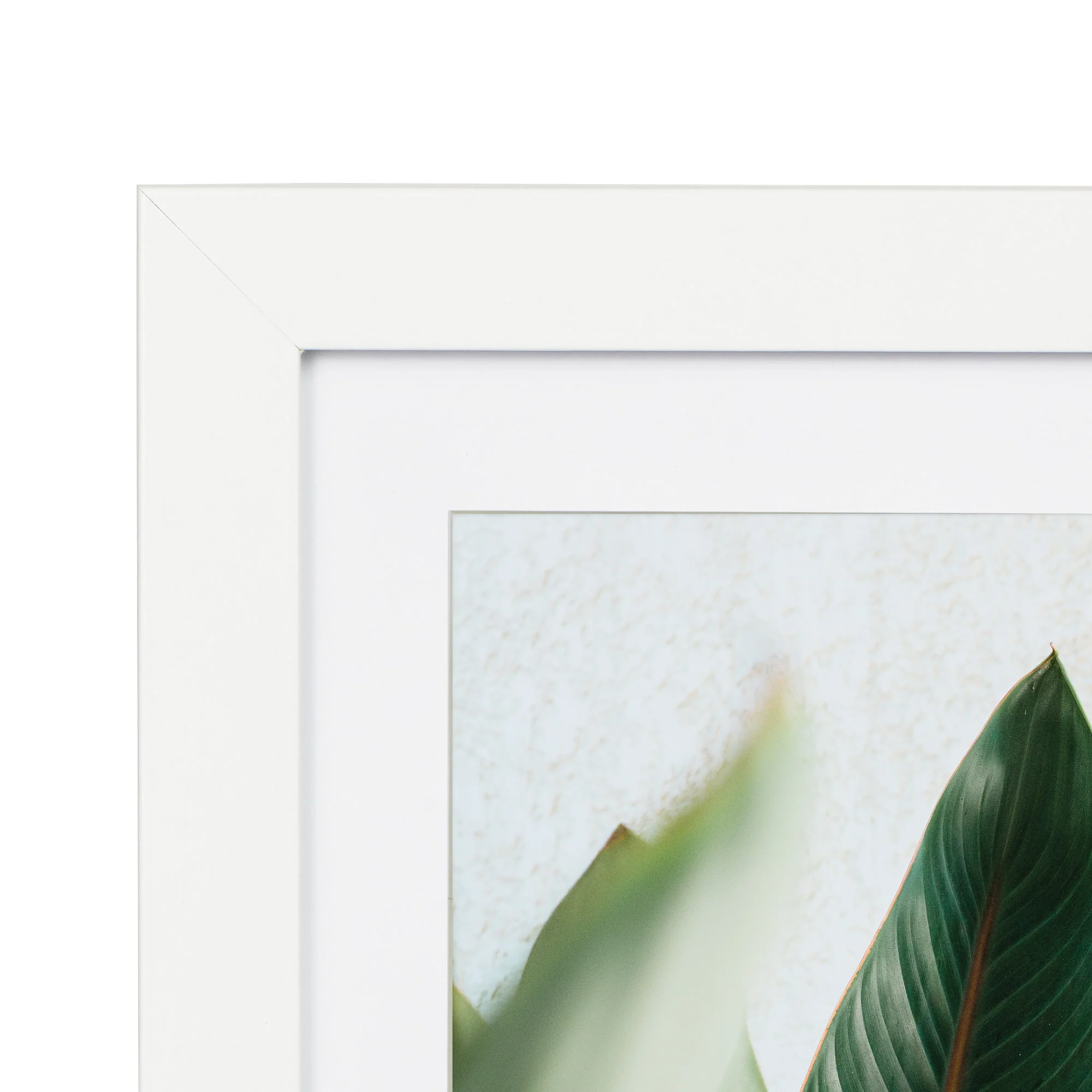 Set Of 4 15x20cm Mat to 10x15cm Premium Paradise Wooden Photo Frame - Image 20