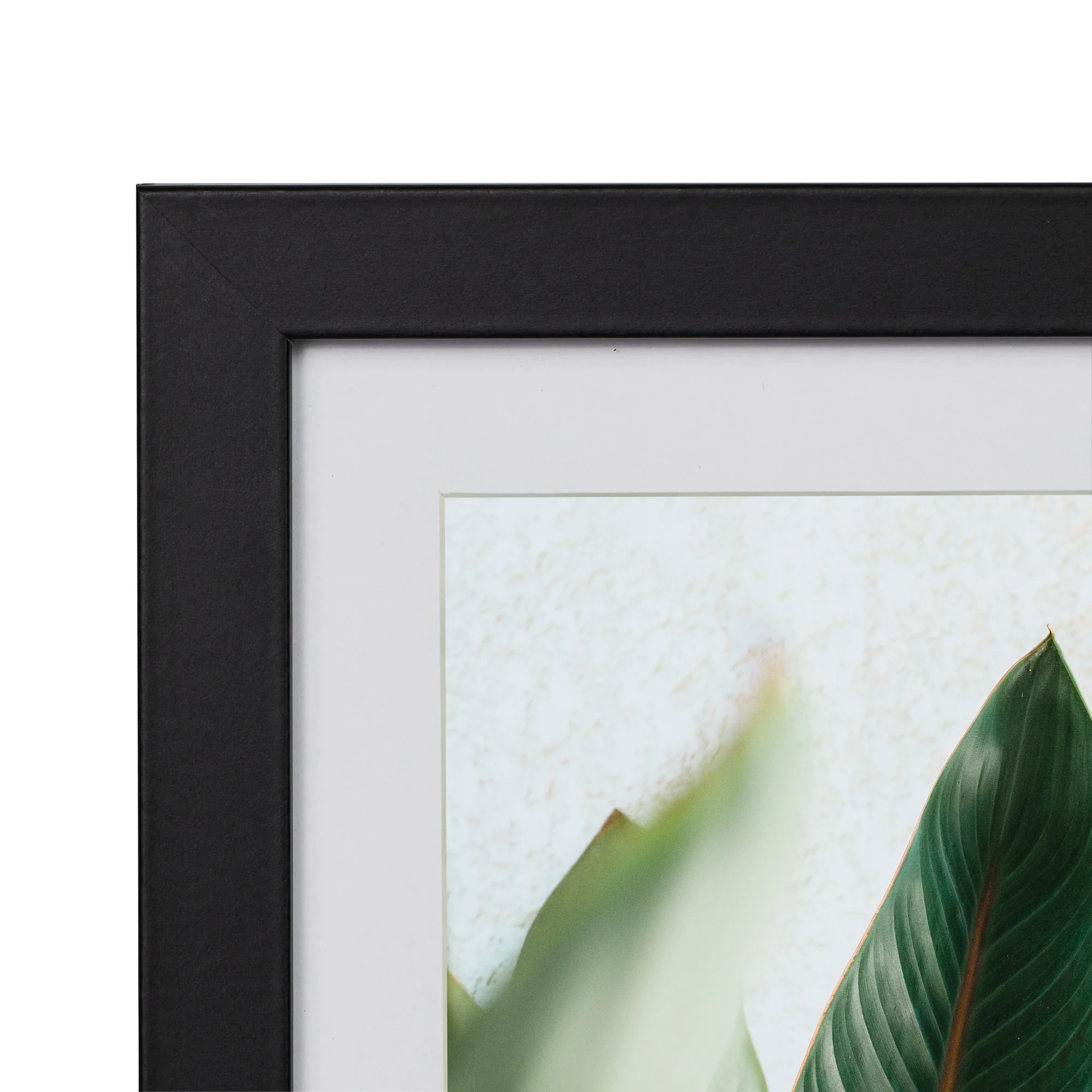 Set Of 4 15x20cm Mat to 10x15cm Premium Paradise Wooden Photo Frame - Image 6
