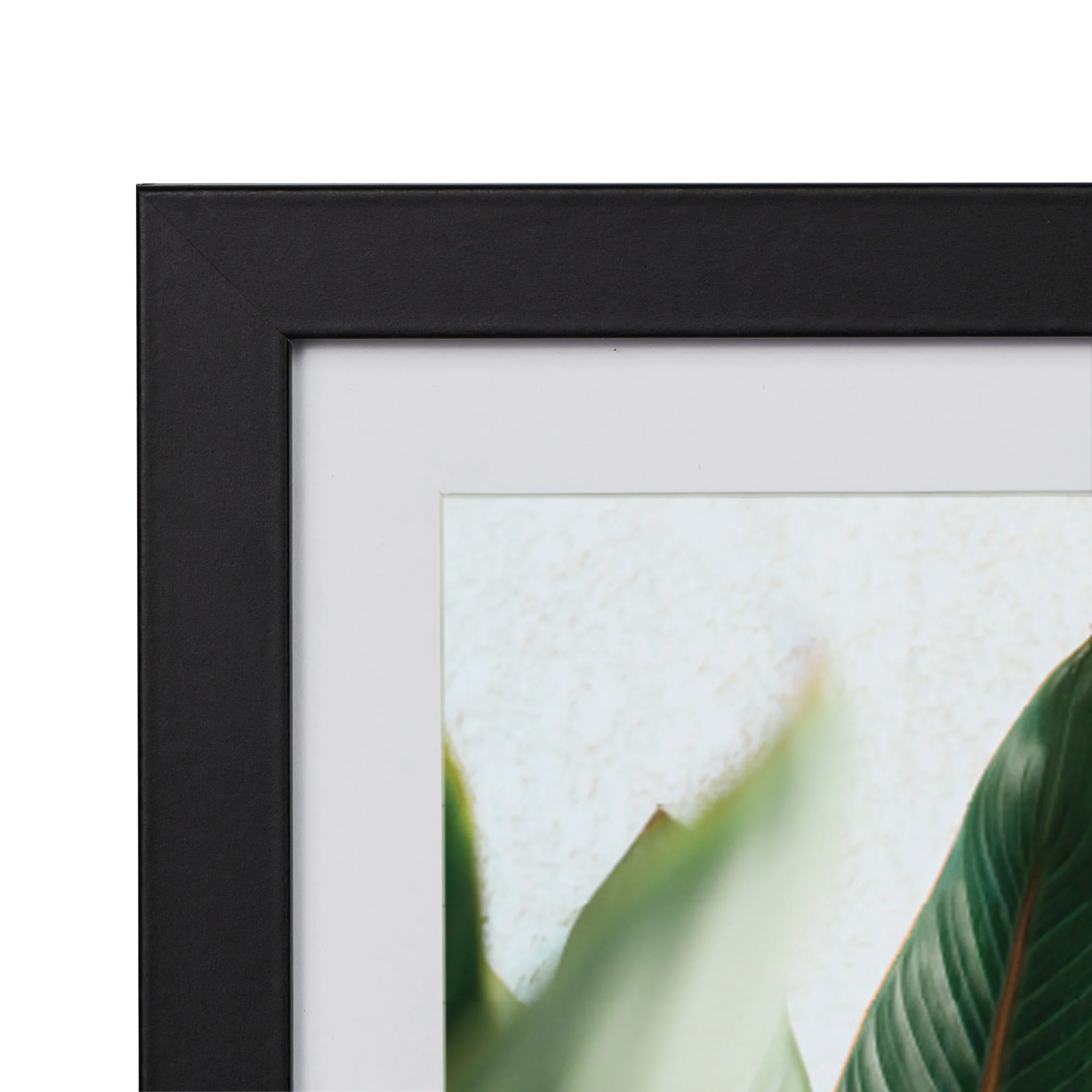Set Of 4 20x25cm Mat to 13x18cm Premium Paradise Wooden Photo Frame - Image 6